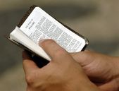 Nowe tłumaczenie Biblii