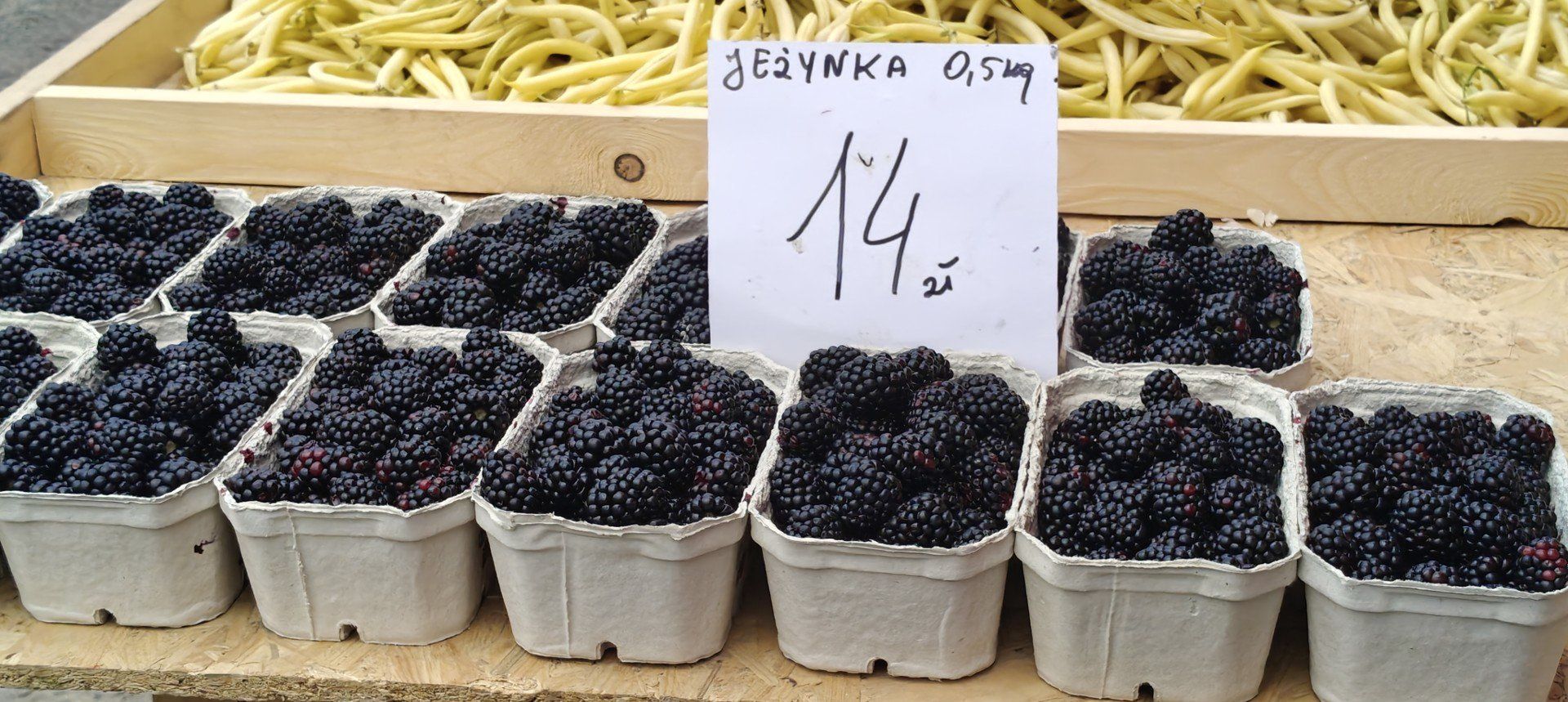 Odwiedziliśmy Targowisko Miejskie w Dąbrowie Górniczej. Bogata OFERTA warzyw i owoców oraz CENY, które przyprawiają o zawrót głowy! ZDJĘCIA