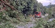 O krok od tragedii. Kilkanaście drzew zawaliło się na drogę