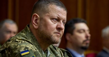 Planowano odwołać Załużnego? Rzecznik prezydenta zabrał głos