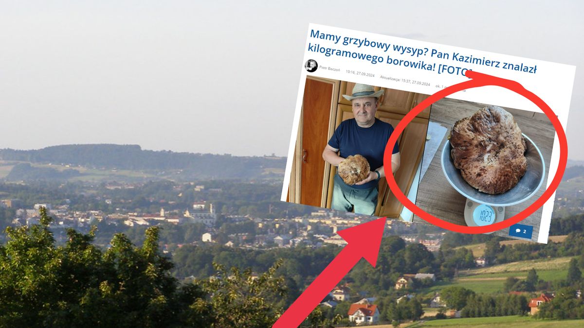 Znalazł grzyba giganta