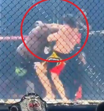 Zuluzinho w akcji. Brutalny nokdaun