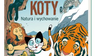 Koty – natura i wychowanie