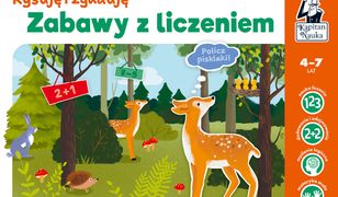 Zabawy z liczeniem. Rysuję i zgaduję. Kapitan Nauka