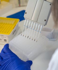 Koronawirus. Wykryto nowy, rekordowo zmutowany wariant. Pochodzi z Tanzanii