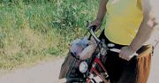 W Rosji bardzo ciężko znaleźć grające babushki