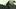 Galeria: Point Lookout
