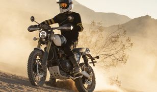 Triumph wchodzi do świata motocrossu i enduro. Pomóc mają w tym znani zawodnicy