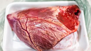 Tym mięsem zajadają się w Peru, Polacy nawet nie wiedzą, że można jeść. Jest chude i delikatne, więc idealne dla seniorów