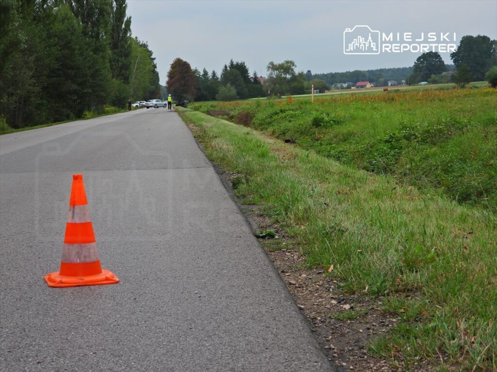 Pomarańczowy pachołek drogowy ustawiony na poboczu przy drodze, w tle widać radiowozy i funkcjonariuszy policji.