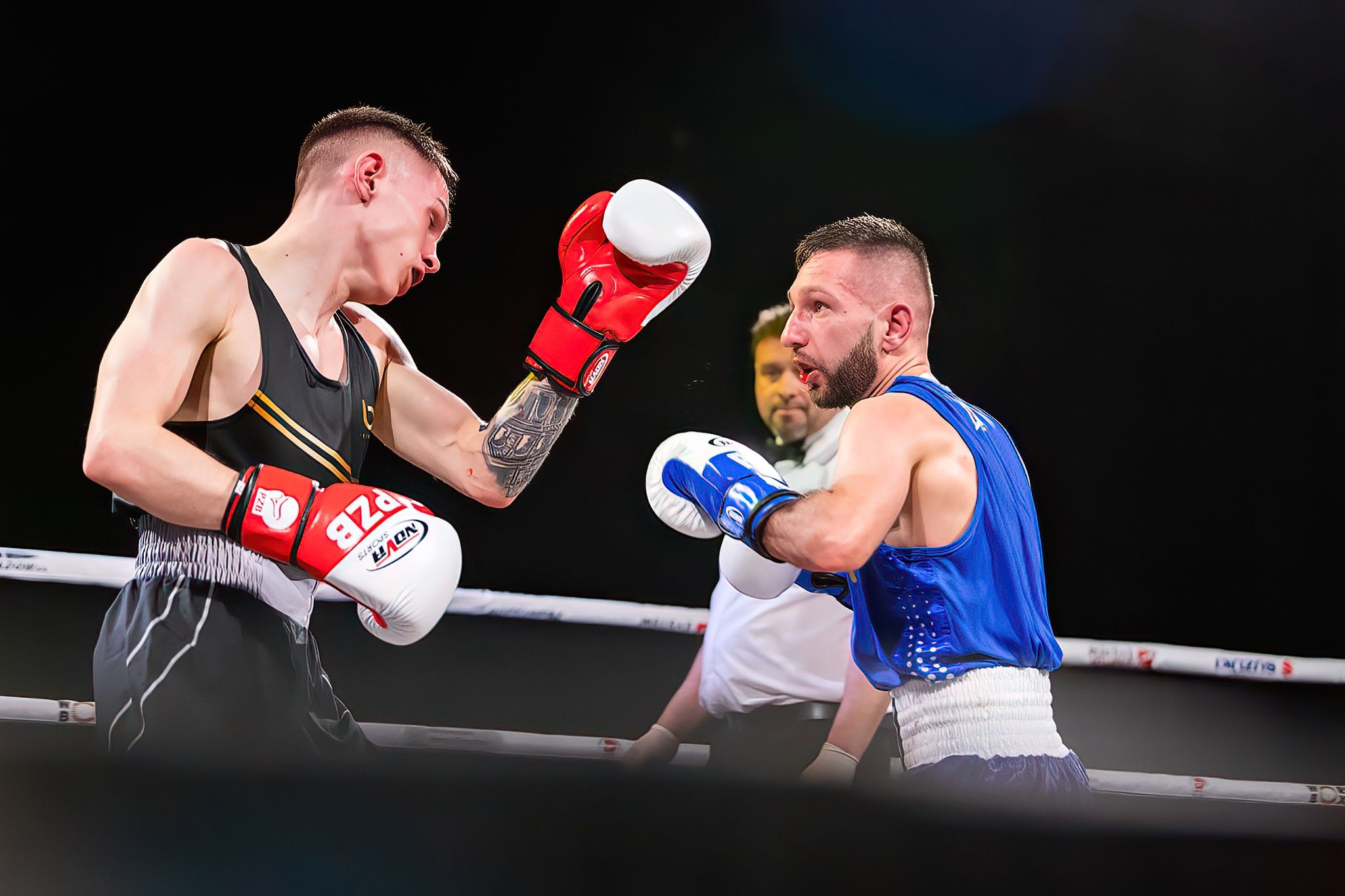 Polska Liga Boksu Pomorzanin Boxing Team - Imperium Wałbrzych