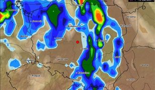 Upały wrócą do Polski? Prognozy pokazują jasno