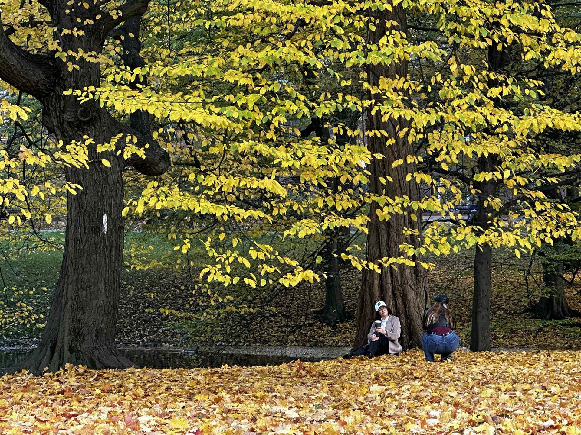lodz niedziela, park źródliska