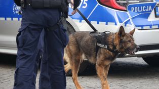 Służby przeczesywały las. Pies tropiący odnalazł 34-latka