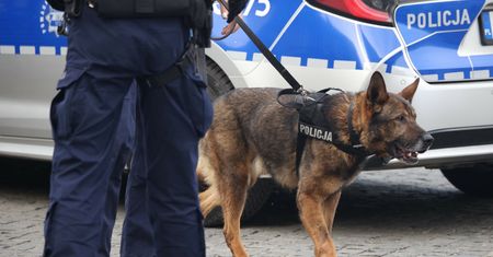 Służby przeczesywały las. Pies tropiący odnalazł 34-latka