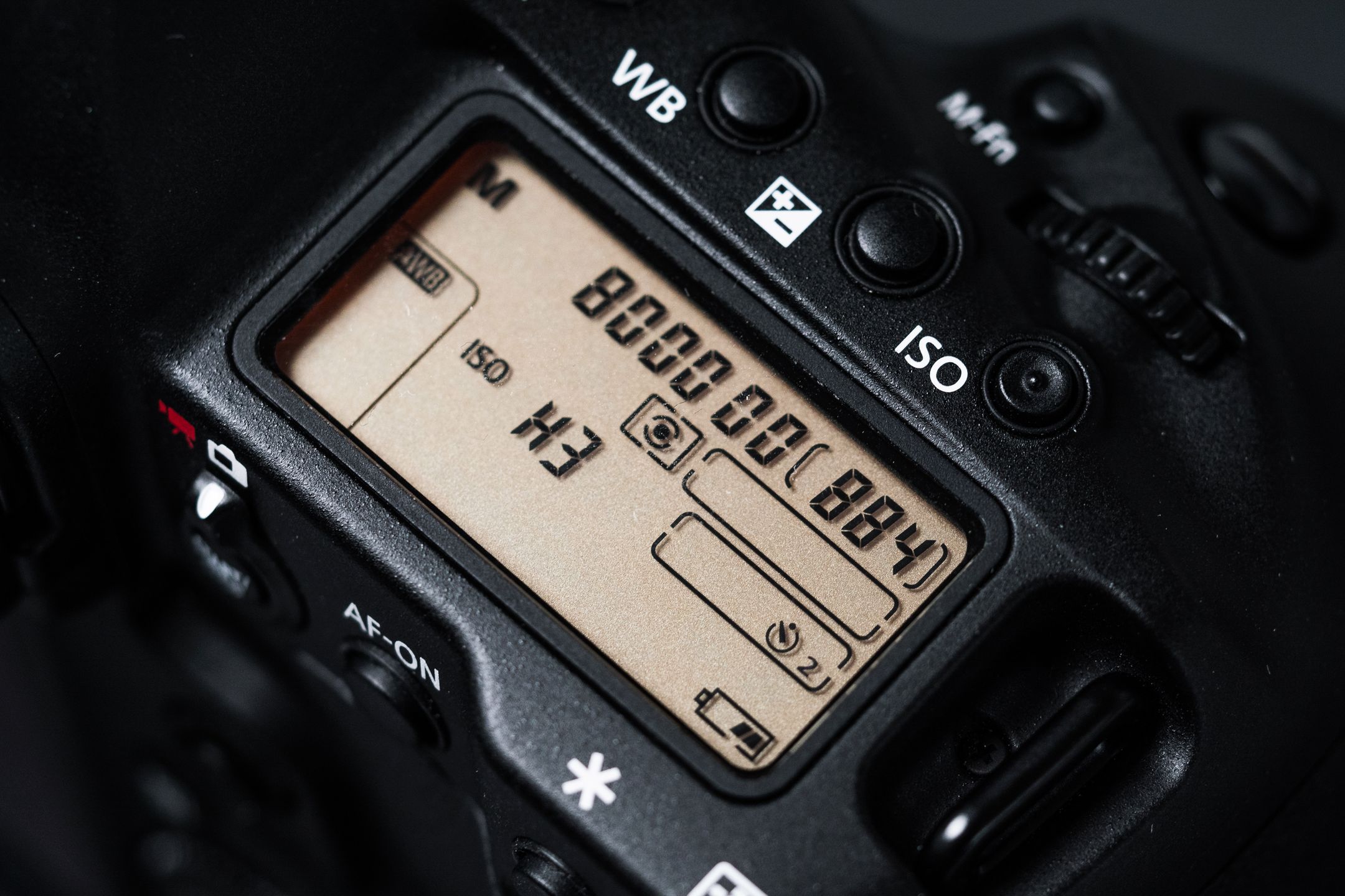 Canon EOS-1D X Mark II - test najszybszej lustrzanki na świecie 15