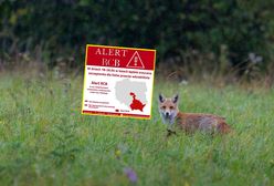 RCB rozsyła nowy alert. Jest informacja o "kapsułce"