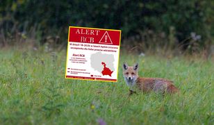 RCB rozsyła nowy alert. Jest informacja o "kapsułce"