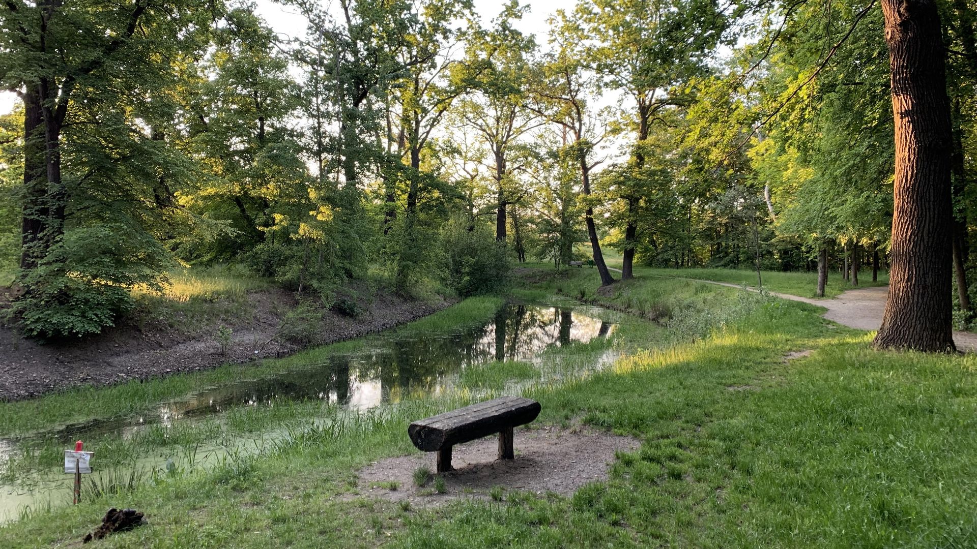 Wrocław. Pogoda. 5 lipca z piękną aurą. Długoterminowa prognoza ucieszy wrocławian