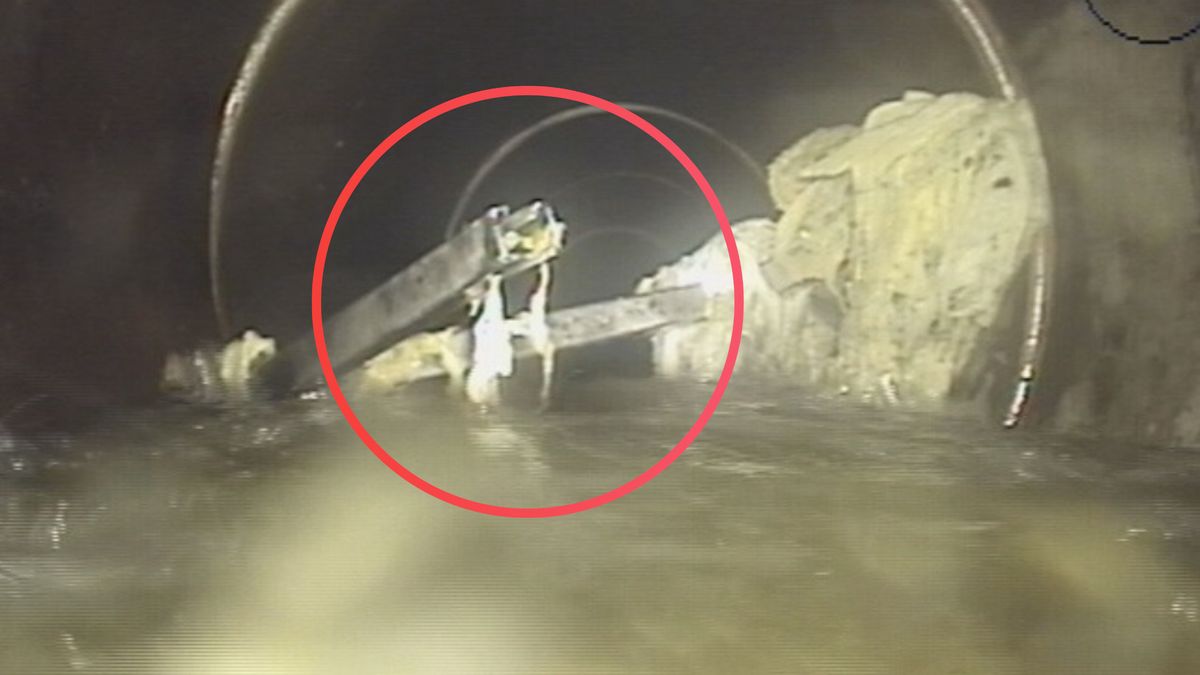 Zajrzeli do kanałów. Niewiarygodne, co tam było.