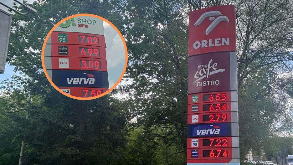 Różnice w cenach sięgają nawet prawie 50 gr między miastami 