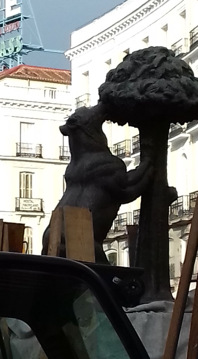 Niedźwiadek to symbol Madrytu 