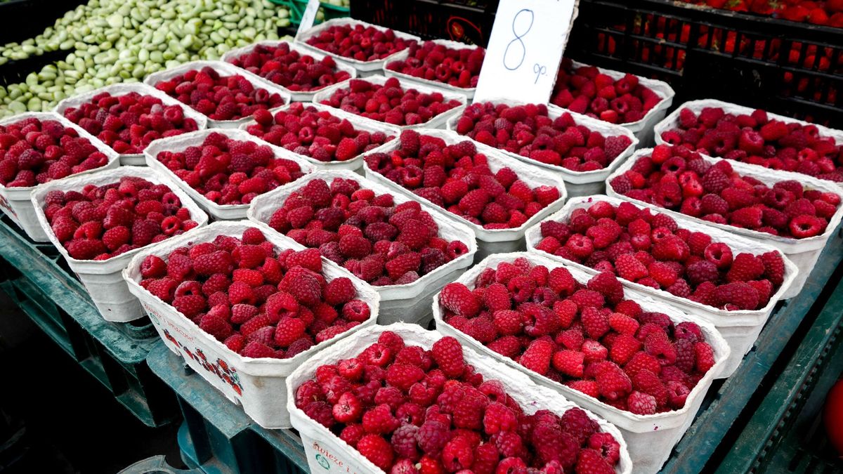 W ciągu kilku dni maliny i borówki amerykańskie potaniały o kilka złotych za kilogram