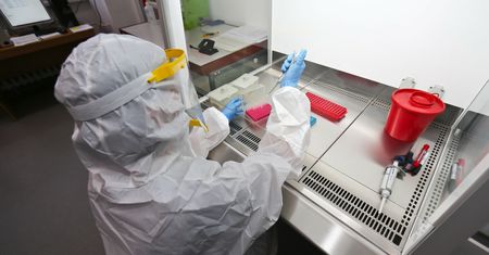 Niepokojące dane. Mikroplastik może wspierać transmisję wirusów