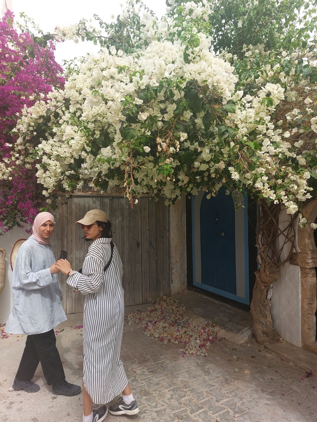 Djerbahood