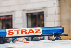 Ogromny pożar na Dolnym Śląsku. Spłonęło kilkadziesiąt hektarów lasu