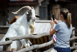 Efekt koronawirusa w turystyce. Polacy zmienili się w odkrywców, oto najwięksi wygrani