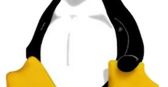 Linux wybije się na kryzysie