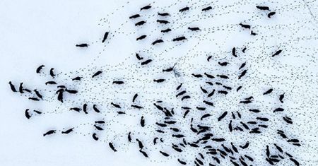 Dron uchwycił to na Podlasiu. Takiego zdjęcia nie było w historii