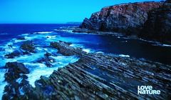 Polsat Box testuje nowy kanał