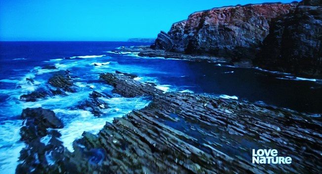 Polsat Box testuje nowy kanał