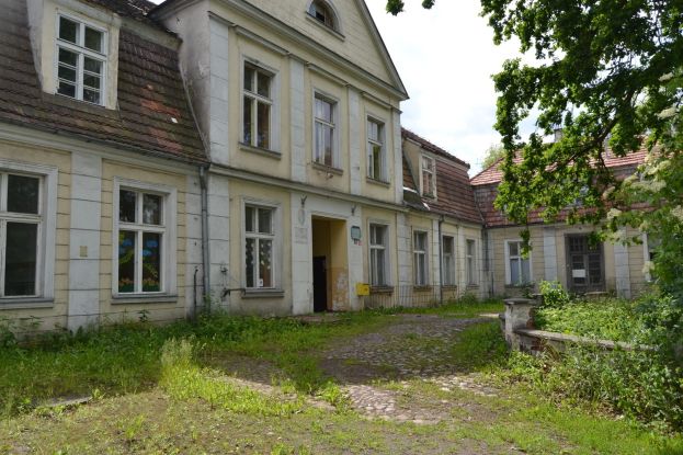 Obraz