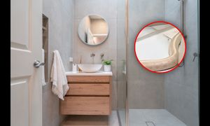 Metrowy wąż w łazience. Policja ustala, jak dostał się tam gad