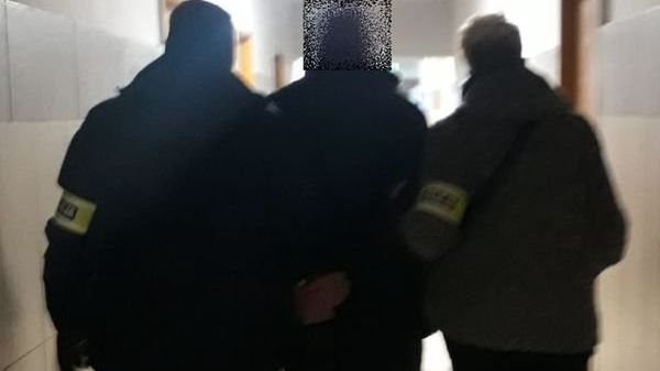 Szklarska Poręba. Policjanci odzyskali drogocennego Land Rovera. Jego wartość ustalono na 650 tys. zł
