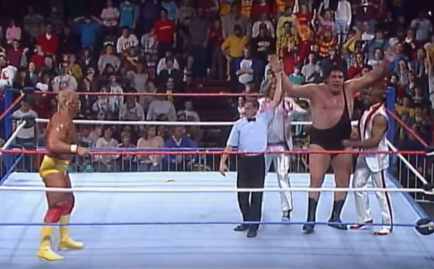 Walka Hulka Hogana z 1988 roku