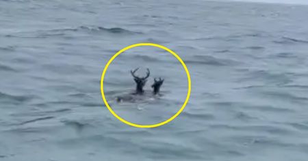 Rybacy wypłynęli na ocean. Ten widok ściął ich z nóg