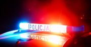 Groźne zdarzenie w Odrowążu. Potrącono zwierzynę leśną