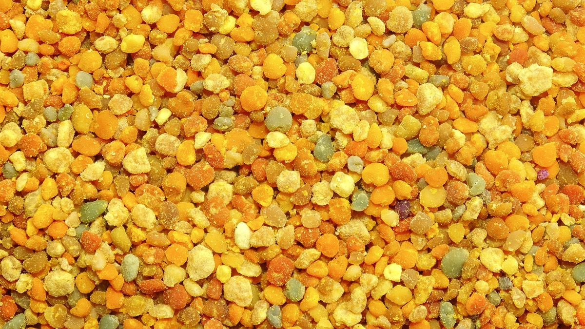 Pyłek pszczeli jest bogaty we właściwości zdrowotne