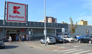 Futer do kotōw i nudle. Nowość w Kauflandzie