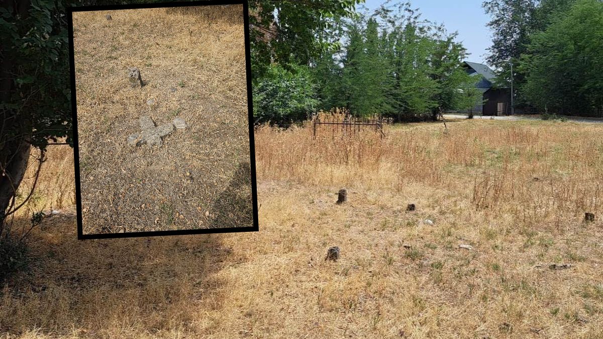 Znaleźli miejsce pochówku Polaków