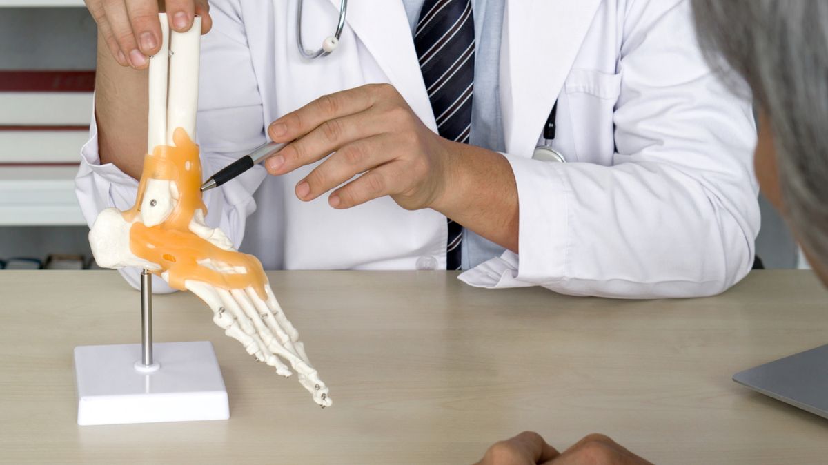 Więzadło jest przyczepione do kości