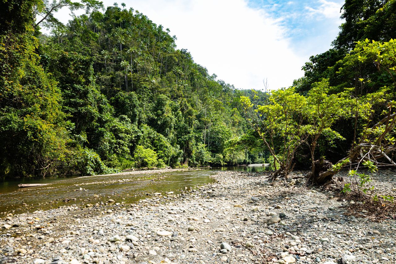 Erdrutsch in Goldmine: Mindestens ein Toter, 19 Vermisste in Papua