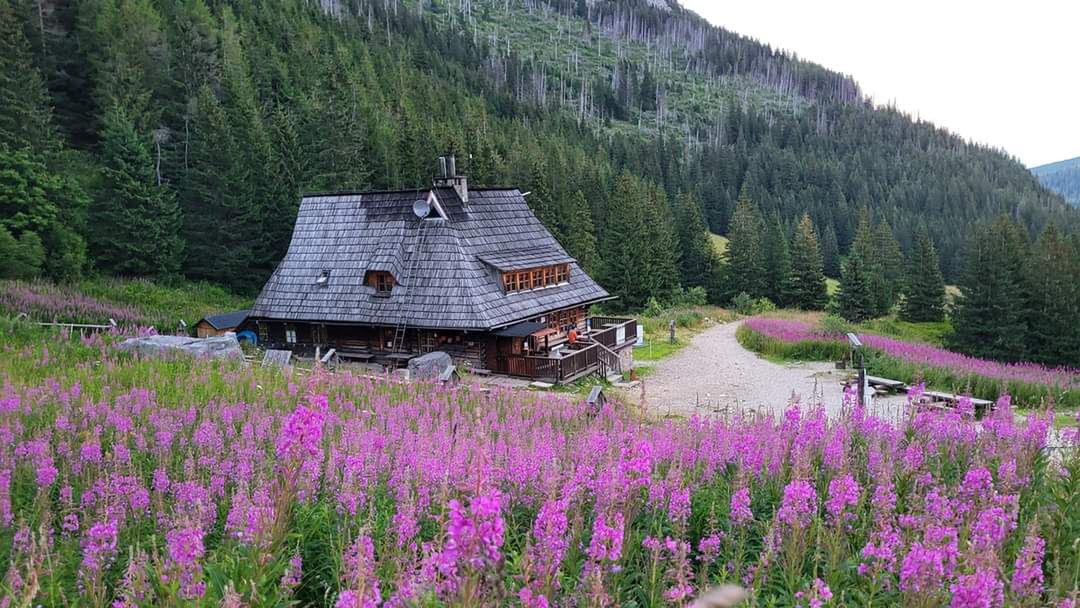 Koniec słynnego schroniska w Tatrach? Niemiła niespodzianka dla turystów