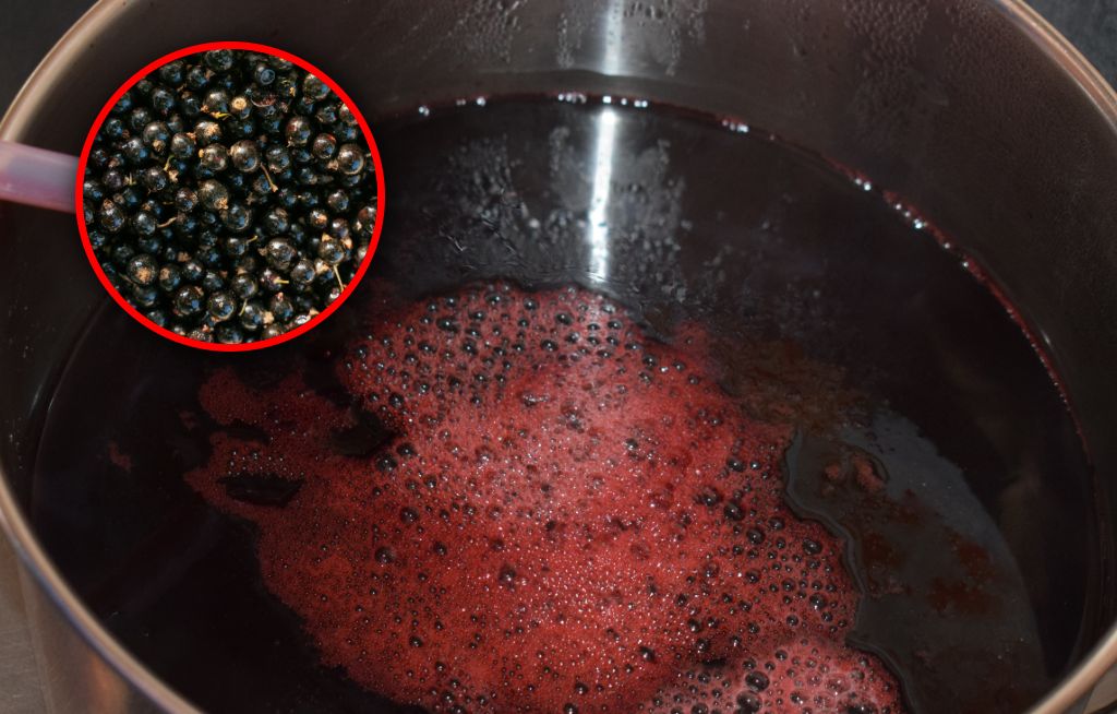 Jak zrobić sok z czarnej porzeczki? Bardzo prosty przepis