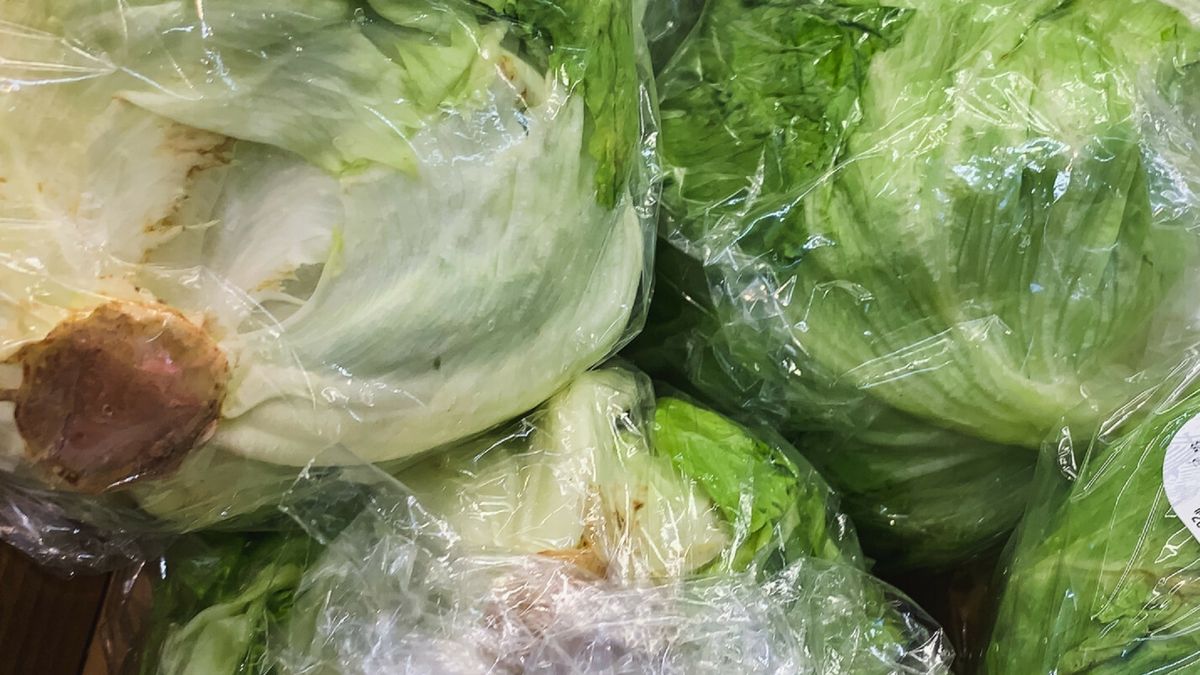 Sałata paczkowana wywołała nawet 20 proc. wszystkich zatruć - ostrzega CDC