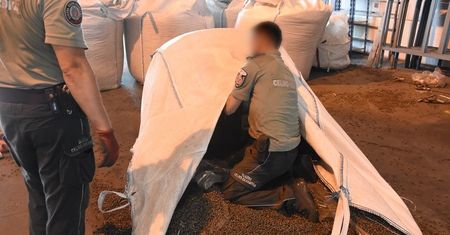 Kontrabanda w pellecie. Kierowca skazany za przemyt papierosów wartych miliony
